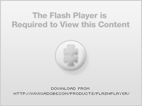 Flash is not installed